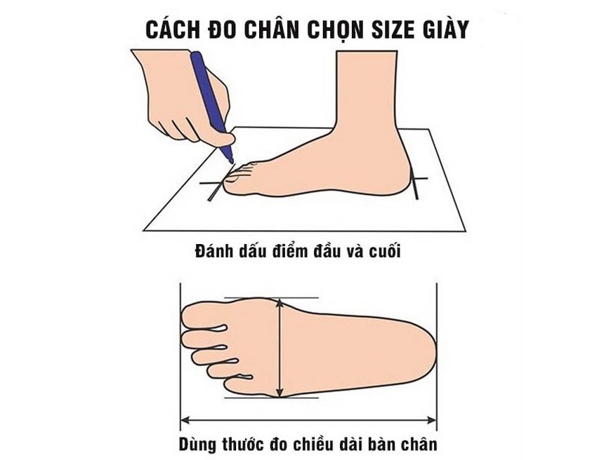 Hướng dẫn cách đo chính xác kích thước của bàn chân.